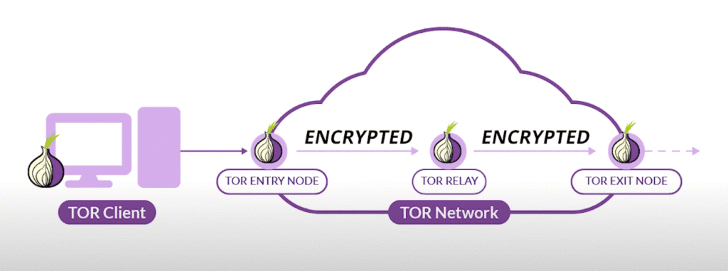how the TOR network works