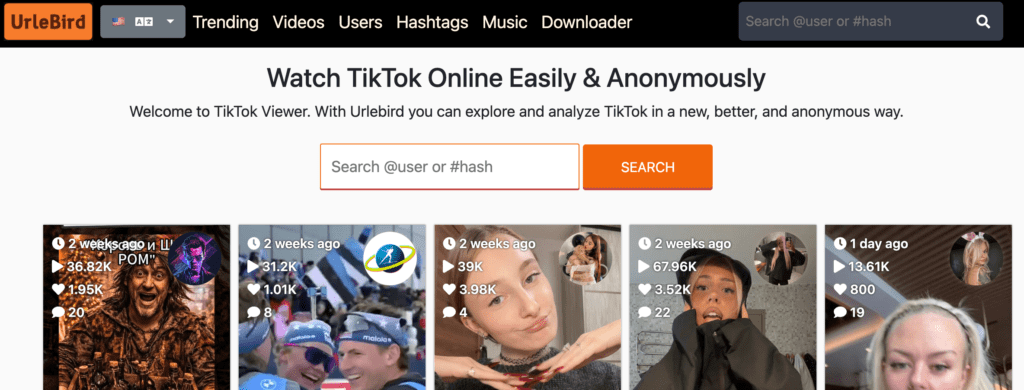 Urlebird anonymous TikTok viewer showing public profile videos and trending hashtags