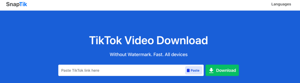 SnapTik TikTok video downloader saving single video without watermark